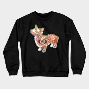 Corgi Anatomy Crewneck Sweatshirt